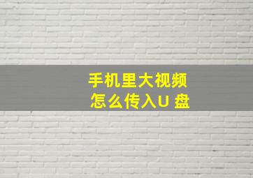 手机里大视频怎么传入U 盘